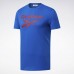 Спортивная футболка Graphic Series Reebok Stacked Спортивная футболка Graphic Series Reebok Stacked