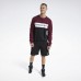 Свитшот Classics Linear Crew Свитшот Classics Linear Crew
