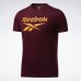 Спортивная футболка Graphic Series Reebok Stacked Спортивная футболка Graphic Series Reebok Stacked