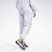 Джоггеры Classics Graphic Fleece Джоггеры Classics Graphic Fleece