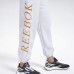 Джоггеры Classics Graphic Fleece Джоггеры Classics Graphic Fleece