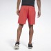 Шорты Epic Lightweight Graphic Шорты Epic Lightweight Graphic