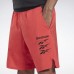 Шорты Epic Lightweight Graphic Шорты Epic Lightweight Graphic