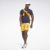 Шорты Epic Lightweight Graphic Шорты Epic Lightweight Graphic