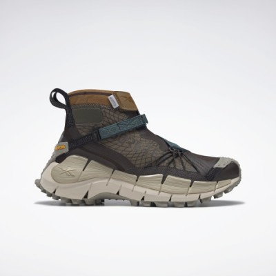 Ботинки Reebok Zig Kinetica II Edge GORE-TEX Ботинки Reebok Zig Kinetica II Edge GORE-TEX