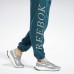 Джоггеры Classics Graphic Fleece Джоггеры Classics Graphic Fleece